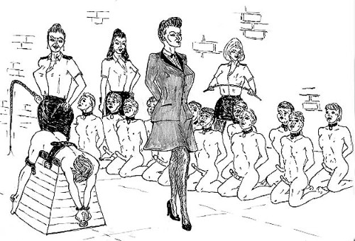 lady carole o46