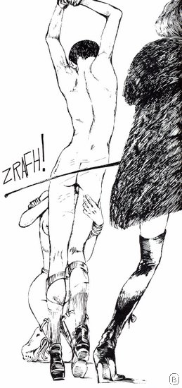 crepax oo8b