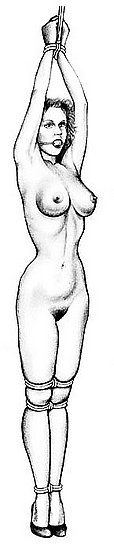 stemur o14